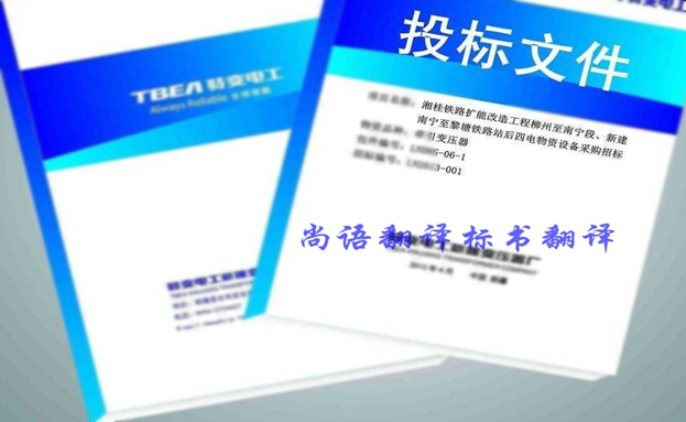 西班牙語投標書翻譯價格要多少錢？收費標準是什么？